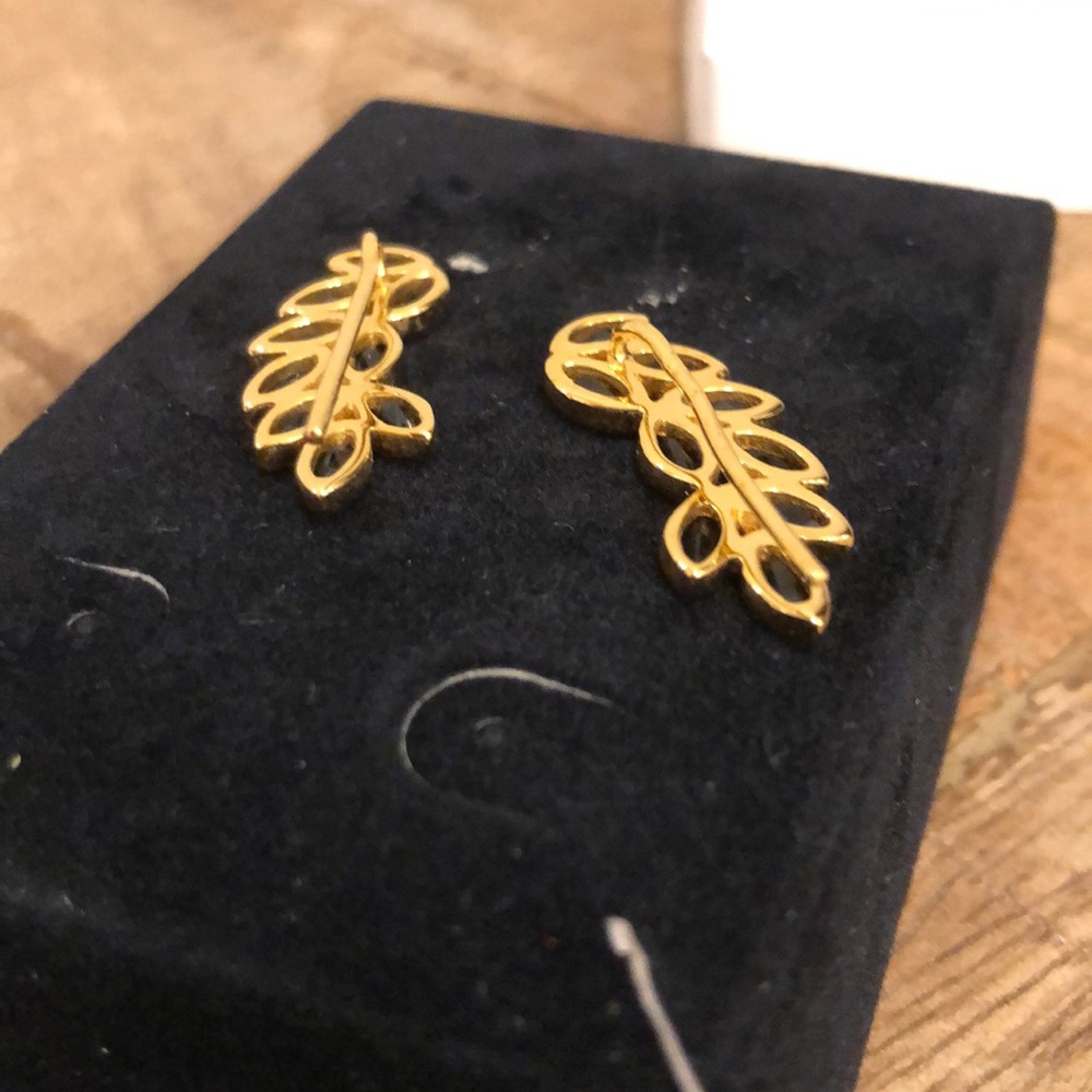 Eddera Onyx Ear Climbers View 2